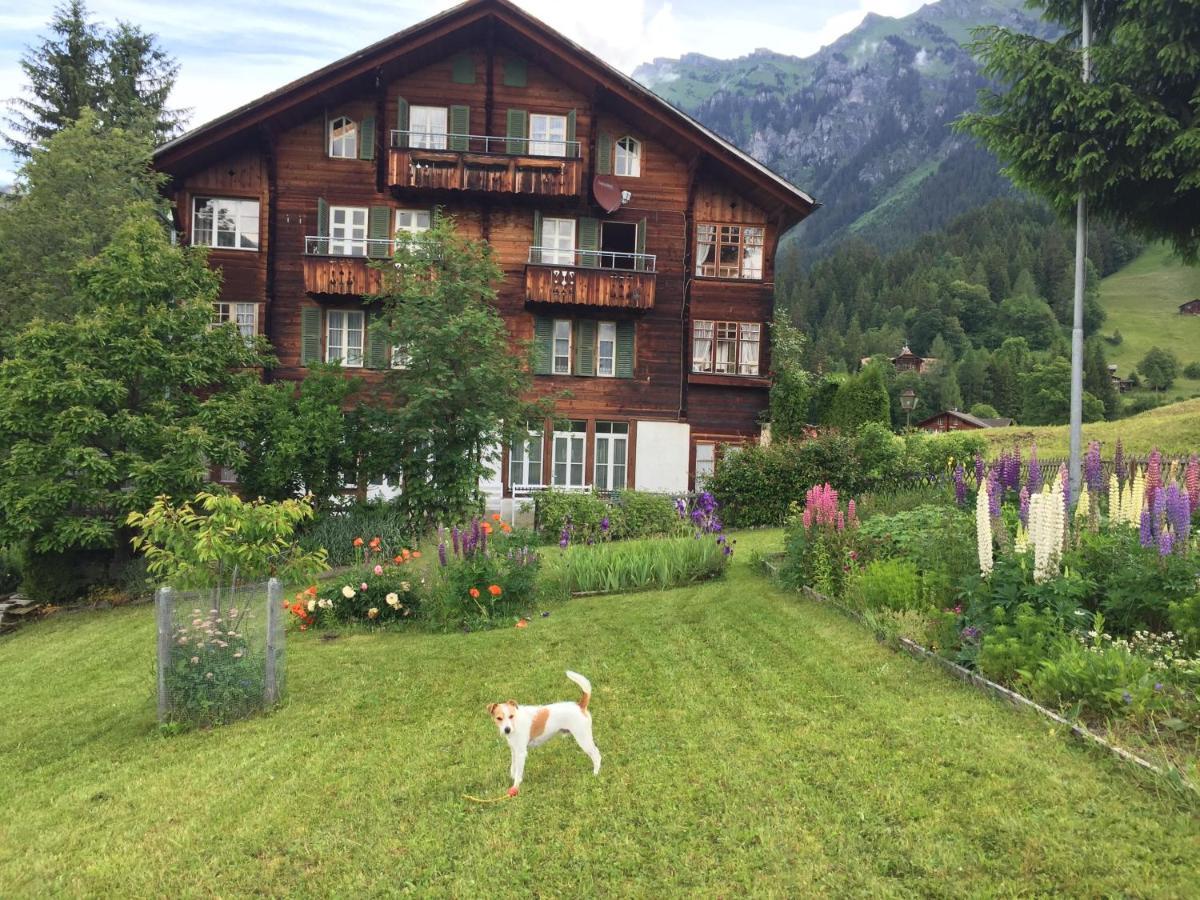 Staubbachbaenkli Appartement Wengen Buitenkant foto