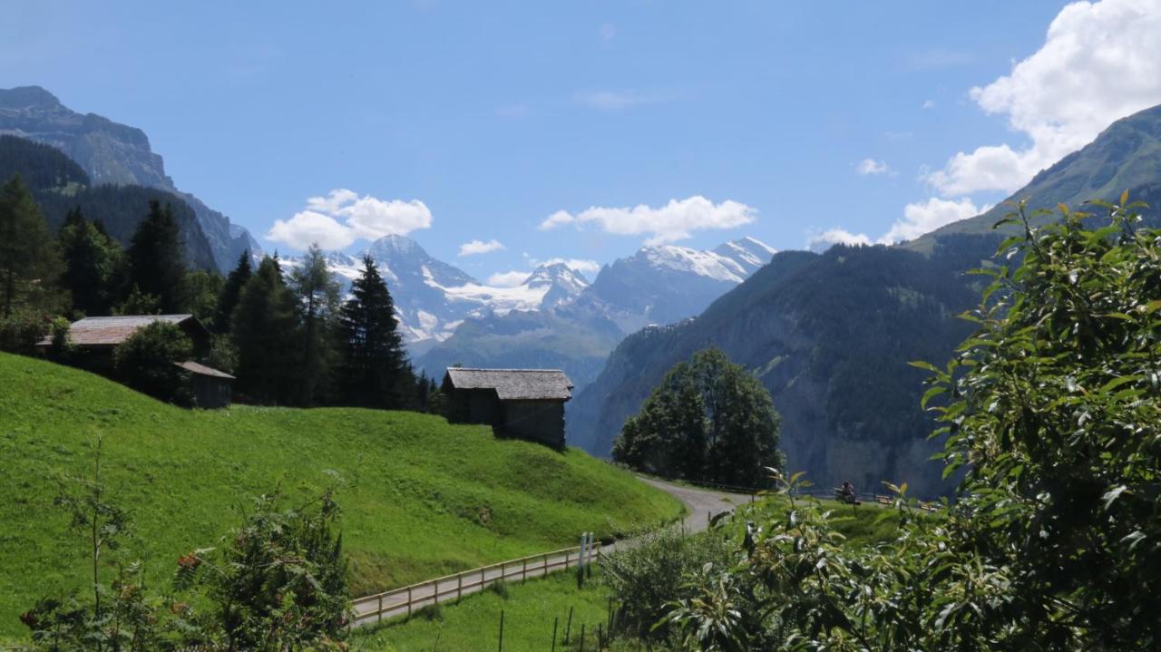 Staubbachbaenkli Appartement Wengen Buitenkant foto