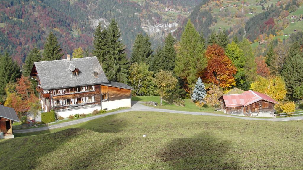 Staubbachbaenkli Appartement Wengen Buitenkant foto