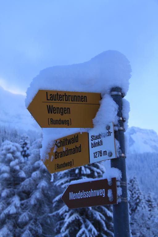 Staubbachbaenkli Appartement Wengen Buitenkant foto