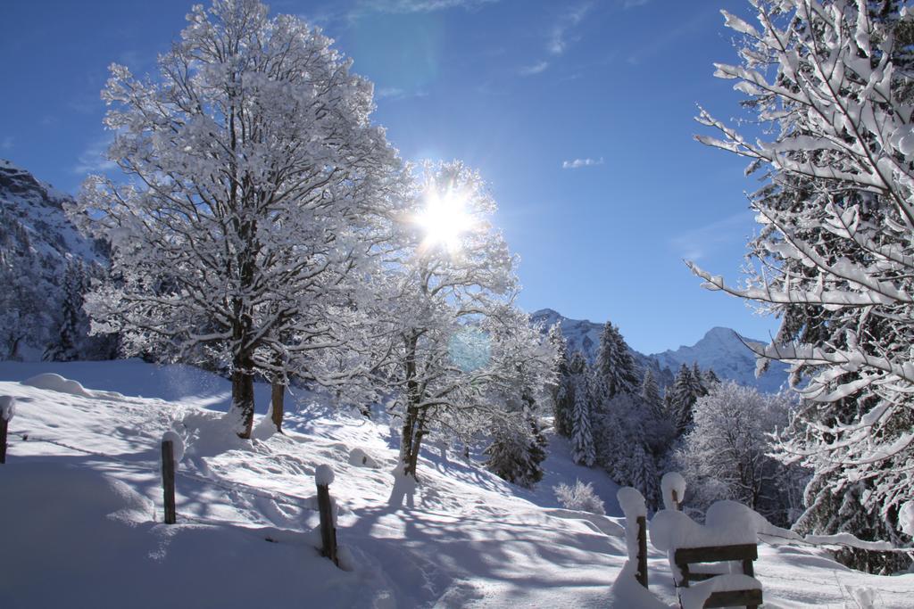 Staubbachbaenkli Appartement Wengen Buitenkant foto