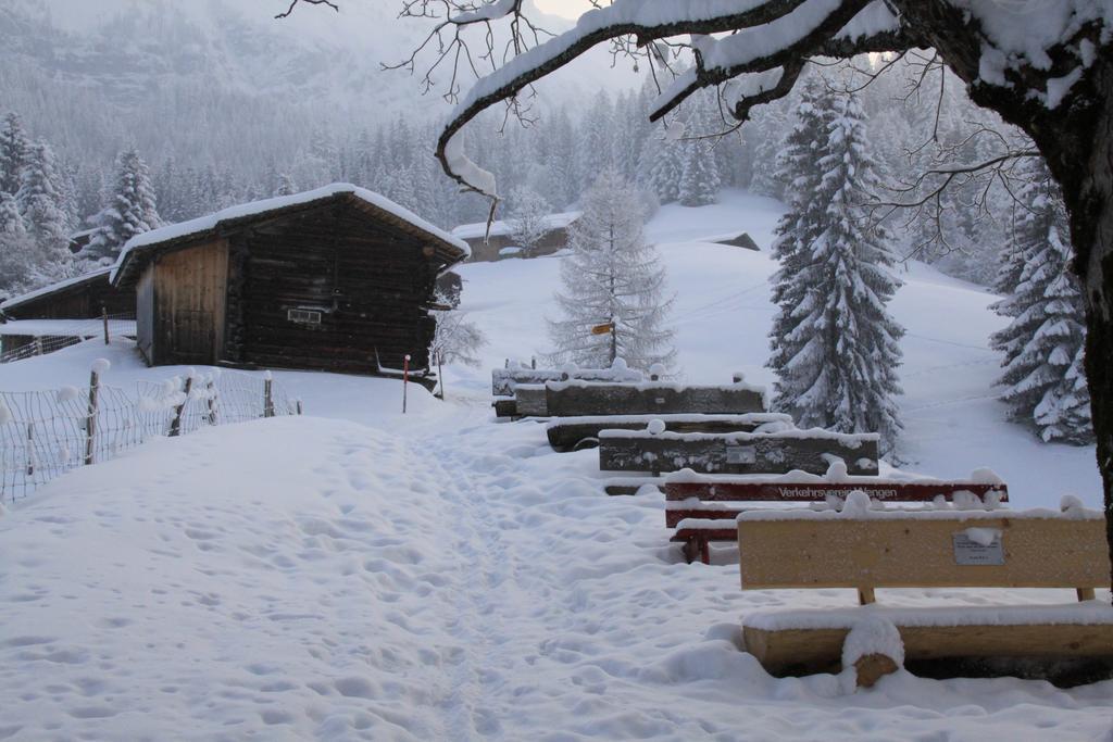 Staubbachbaenkli Appartement Wengen Buitenkant foto